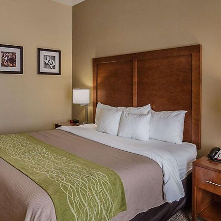 Comfort Inn Midland South I-20 Εξωτερικό φωτογραφία